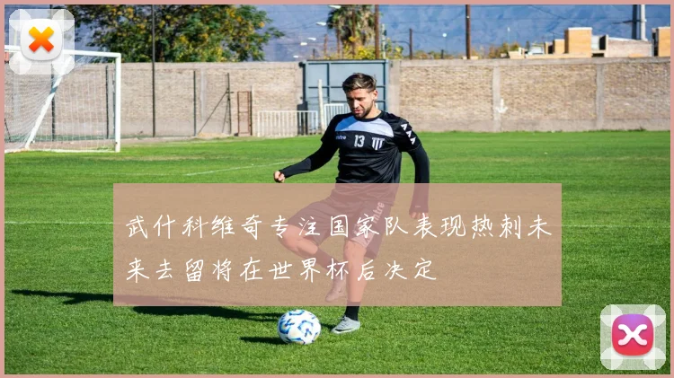 武什科维奇专注国家队表现热刺未来去留将在世界杯后决定