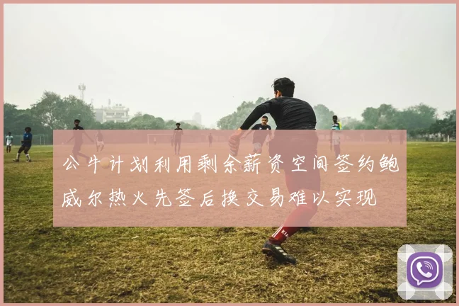 公牛计划利用剩余薪资空间签约鲍威尔热火先签后换交易难以实现