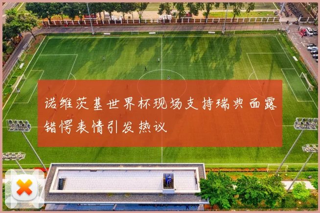 诺维茨基世界杯现场支持瑞典面露错愕表情引发热议
